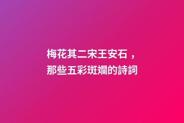 梅花其二宋王安石，那些五彩斑斕的詩詞
